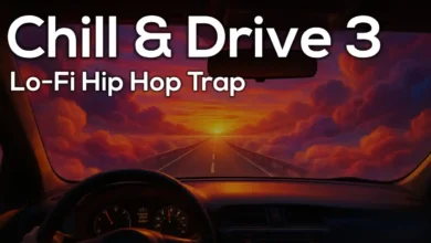Chill and Drive 3 by InMusicFlix