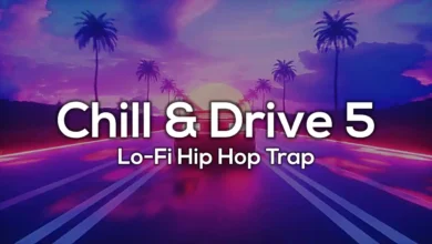 Chill and Drive 5 by InMusicFlix
