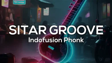 Sitar Groove by InMusicFlix