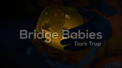 Bridge Babies by InMusicFlix